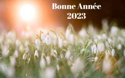 Nos meilleurs vœux pour 2023